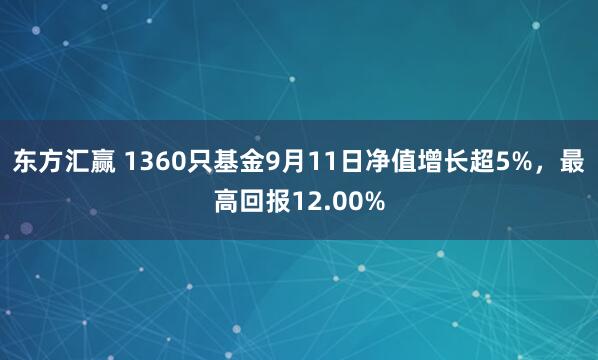 东方汇赢 1360只基金9月11日净值增长超5%，最高回报12.00%