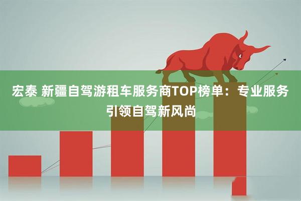 宏泰 新疆自驾游租车服务商TOP榜单：专业服务引领自驾新风尚
