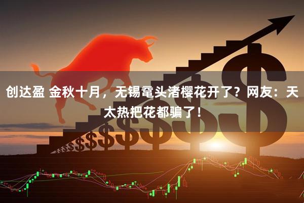 创达盈 金秋十月，无锡鼋头渚樱花开了？网友：天太热把花都骗了！