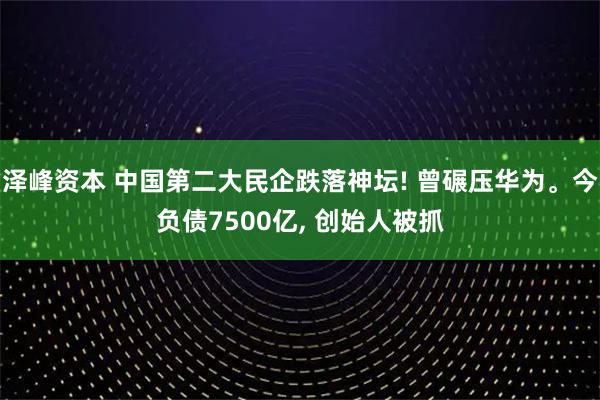 泽峰资本 中国第二大民企跌落神坛! 曾碾压华为。今负债7500亿, 创始人被抓