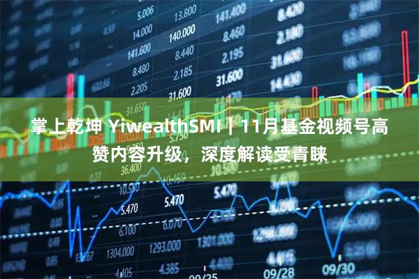 掌上乾坤 YiwealthSMI｜11月基金视频号高赞内容升级，深度解读受青睐